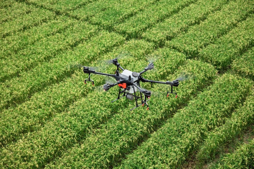 dji, drone, plant protection drone, farmland, agriculture, plant protection, t16, rice, in rice field, agras, farming, uav, extremely fly, dji, drone, drone, uav, uav, uav, uav, uav
