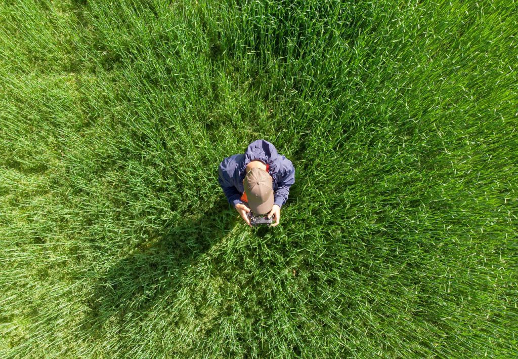 drone operator, drone pilot, field, aerial view, quadrocopter, technology, drone operator, drone operator, drone pilot, drone pilot, drone pilot, drone pilot, drone pilot